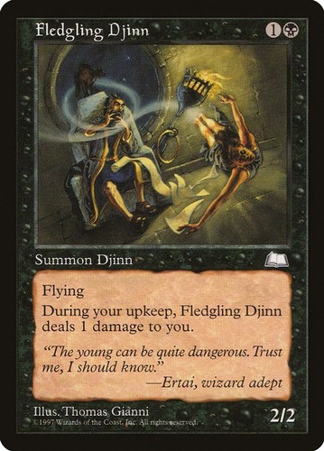 Fledgling djinn wth - lp,